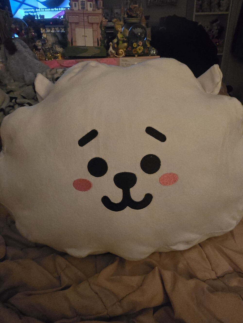 BT21 BTS RJ Jin Plush Pillow